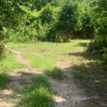 Residential property for sale in Union Parish