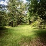 Agricultural land for sale in Union Parish