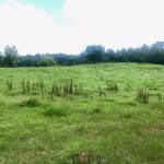Farmland property for sale in Union Parish