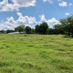 Union Parish Agricultural property for sale