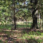 Bossier Parish Investment property for sale