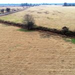 Bossier Parish Pasture land for sale