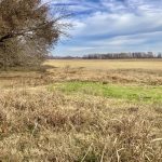 Bossier Parish Residential land for sale