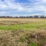 Development land for sale in Bossier Parish