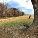 Ranchland for sale in Bossier Parish