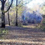 Louisiana rural property for sale