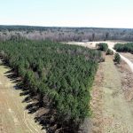 Recreational property for sale in DeSoto Parish