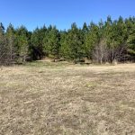 Recreational land for sale in DeSoto Parish