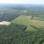 Timberland for sale in Caddo Parish