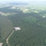 Investment land for sale in Bienville Parish