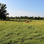 Agricultural property for sale in Caddo Parish