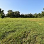 Caddo Parish Agricultural land for sale
