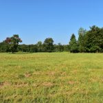 Caddo Parish Agricultural property for sale