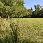Investment land for sale in Caddo Parish