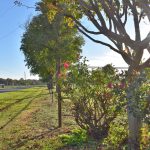 Pasture property for sale in Bossier Parish