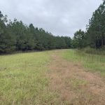 Hunting property for sale in DeSoto Parish