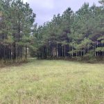 Recreational land for sale in DeSoto Parish
