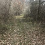 Recreational land for sale in Richland Parish