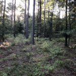Recreational property for sale in Union Parish