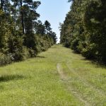 Claiborne Parish Recreational land for sale