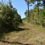 Recreational land for sale in Claiborne Parish