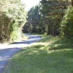 Claiborne Parish Timberland for sale