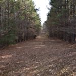 Claiborne Parish Recreational land for sale