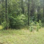 Recreational property for sale in Red River Parish