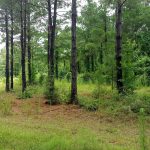 Residential land for sale in Red River Parish