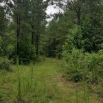 Red River Parish Recreational land for sale