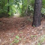 Investment land for sale in Red River Parish