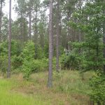 Residential property for sale in Bienville Parish