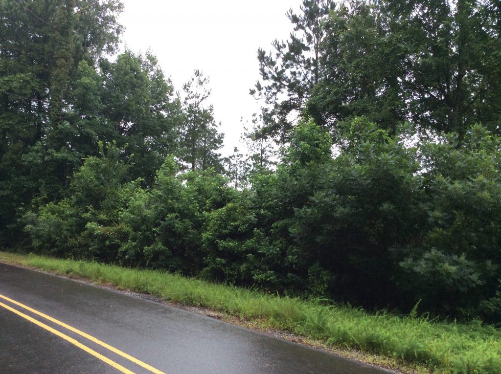 Residential land for sale in Natchitoches Parish