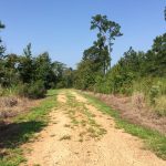 Development land for sale in Bienville Parish