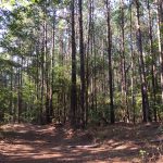 Recreational land for sale in Bienville Parish