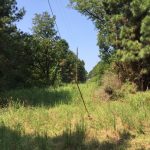 Recreational property for sale in Bienville Parish