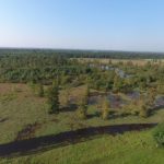 Grant Parish Pasture land for sale