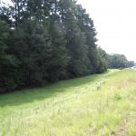 Agricultural land for sale in Bienville Parish