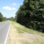 Bienville Parish Timberland for sale