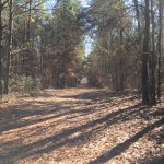 Recreational property for sale in Lincoln Parish