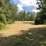 Holmes County Recreational property for sale