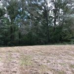 Ranchland property for sale in Holmes County