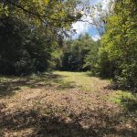 Agricultural property for sale in Holmes County
