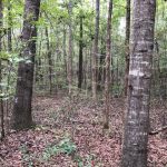 Holmes County Investment land for sale