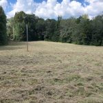 Timberland property for sale in Holmes County