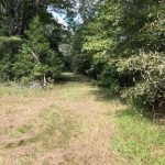 Recreational land for sale in Holmes County