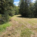 Agricultural land for sale in Holmes County