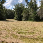 Investment land for sale in Holmes County