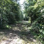 Timberland property for sale in Holmes County