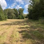 Holmes County Ranchland property for sale